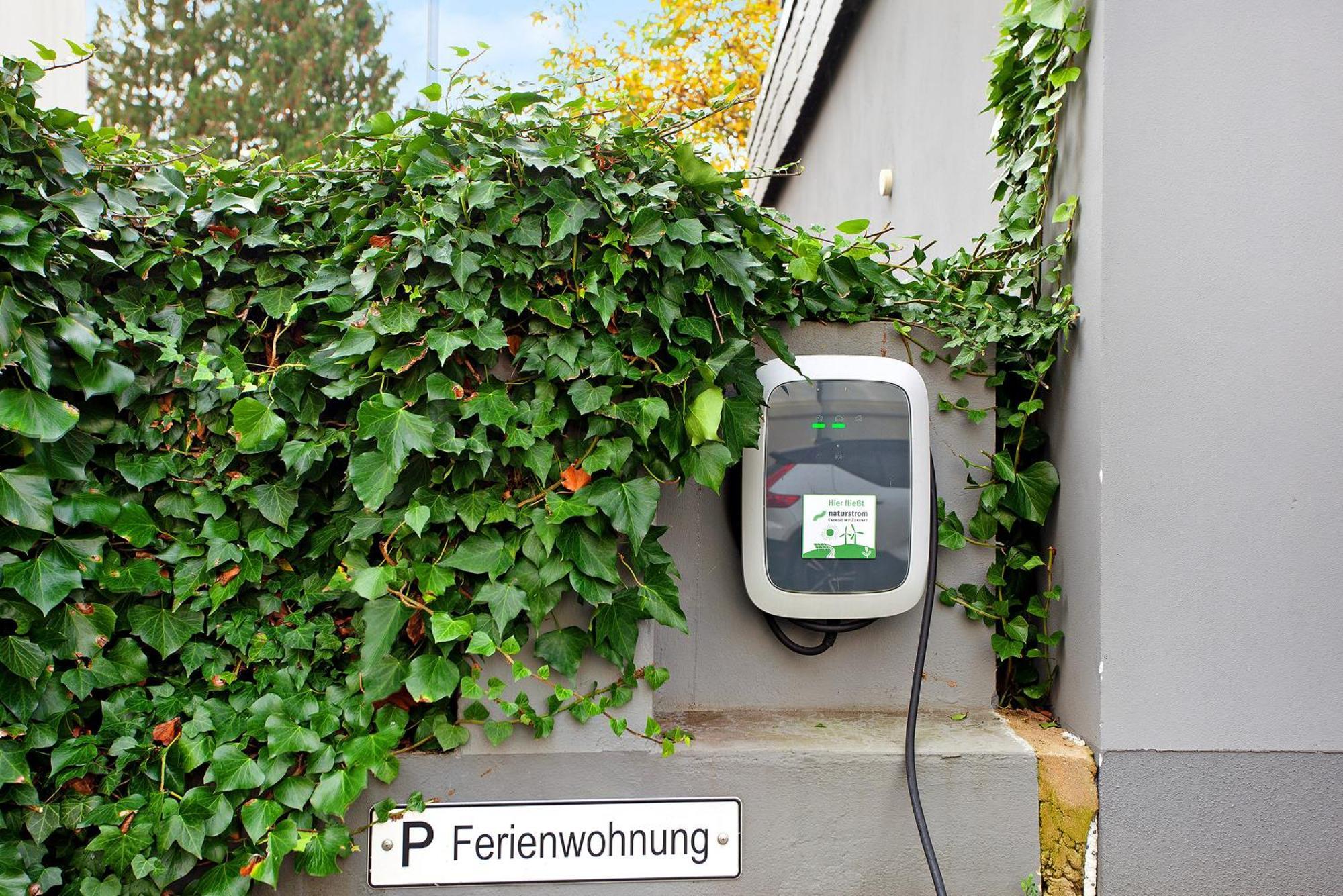 Ferienwohnung Im Eichholz Arnsberg Ngoại thất bức ảnh
